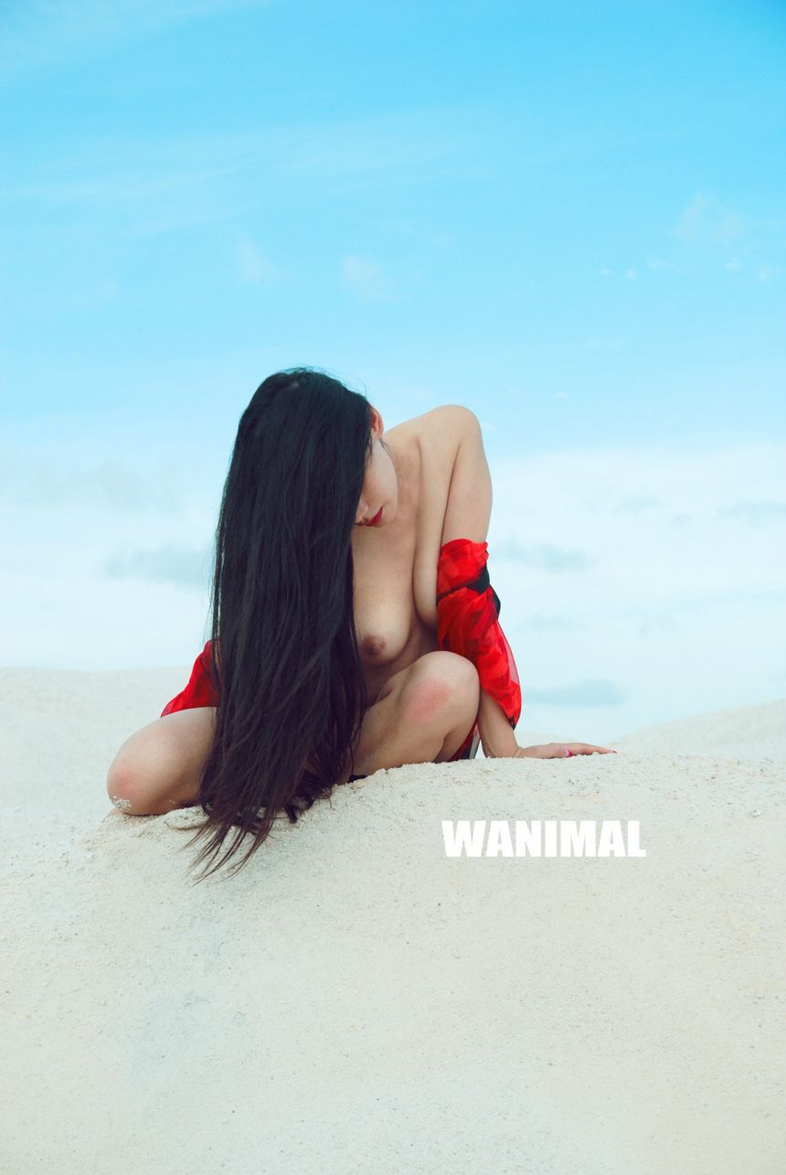 [100P] ͼ WANIMALƷ (ʮ) ڵ P.1 