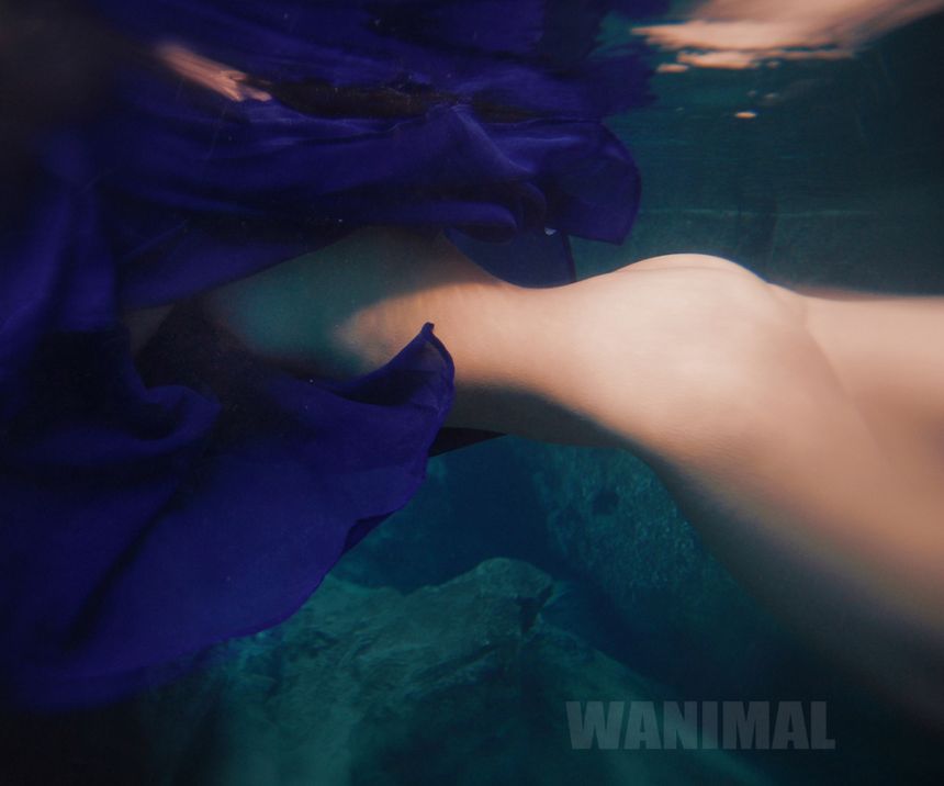 ͼ [107P] () ʥ WANIMAL P.1 